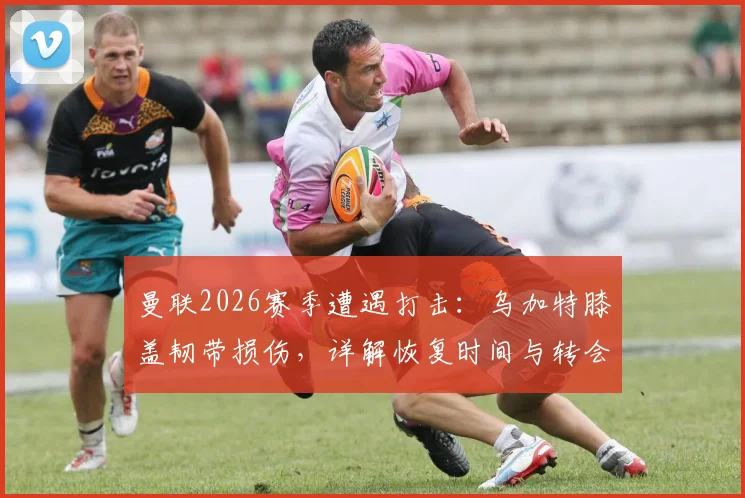 曼联2026赛季遭遇打击:乌加特膝盖韧带损伤,详解恢复时间与转会市场影响